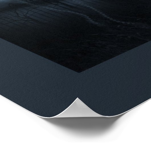 Het Poster Plummet (Hoek)