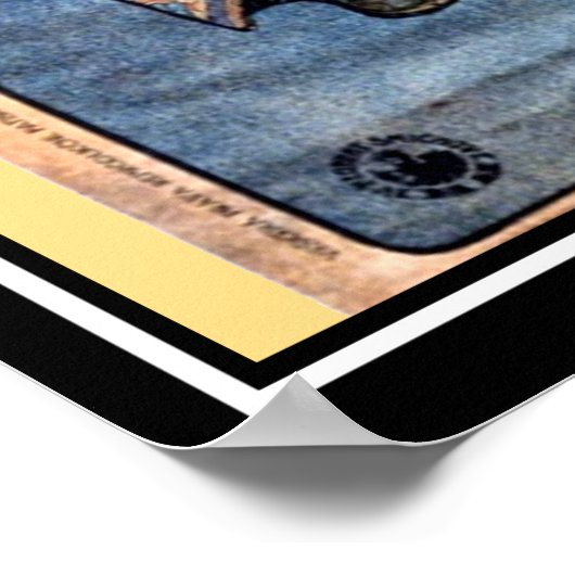 Het Poster Princess Alphonse Mucha (Hoek)