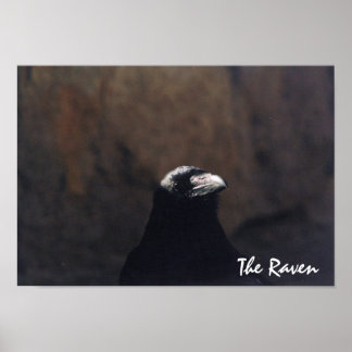 Het Poster Raven