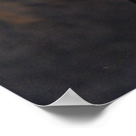 Het Poster Raven (Hoek)