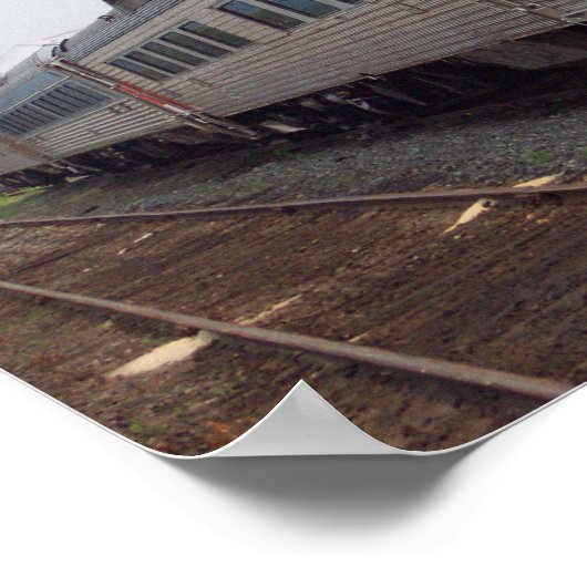 Het Poster Roger Williams Train (Hoek)