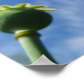 Het Poster Serenity Prayer, Acceptatie Quote Art (Hoek)