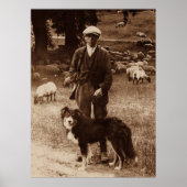 Het Poster "Shepherd"~Border Collie (Voorkant)