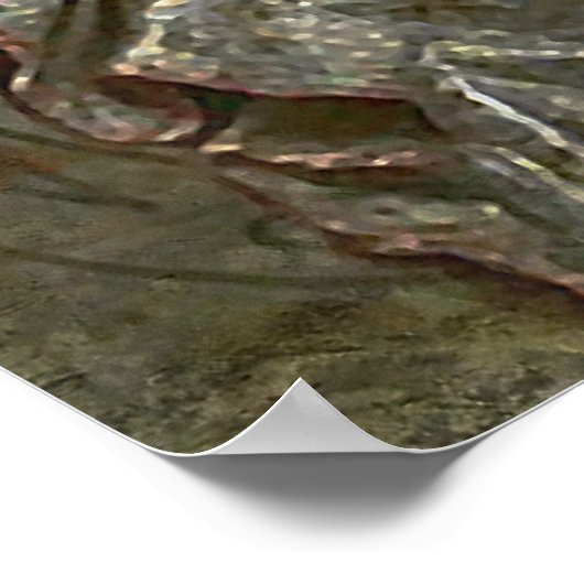 Het Poster Sorceress (Hoek)