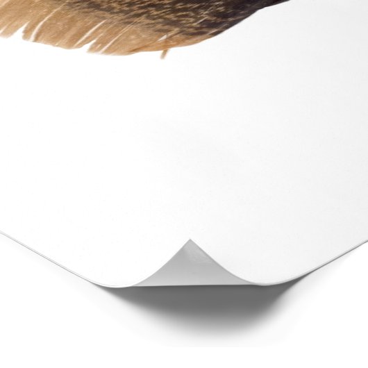 Het Poster Tradities respecteren (Hoek)