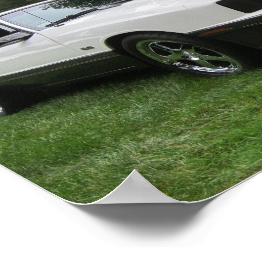 Het Poster van 1980 voor kwikkool (Hoek)