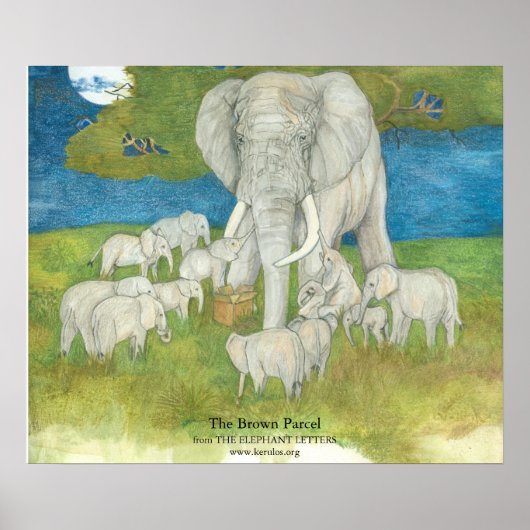 Het Poster van bruin parket (Voorkant)