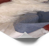 Het Poster van Cosmo door lin (Hoek)