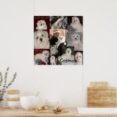 Het Poster van Cosmo door lin (Keuken)