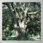 Het Poster van de 4 seizoenen (Voorkant)