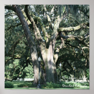 Het Poster van de 4 seizoenen