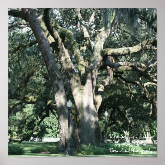 Het Poster van de 4 seizoenen (Voorkant)