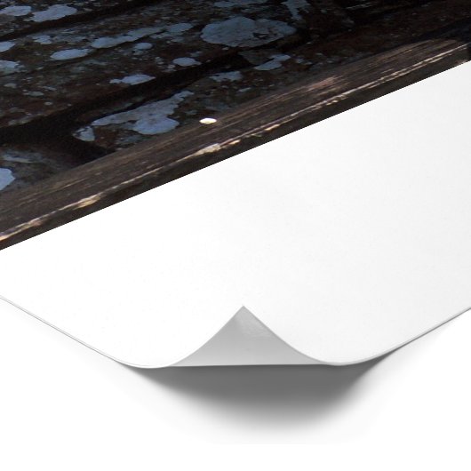 Het poster van de accordeonspeler (Hoek)