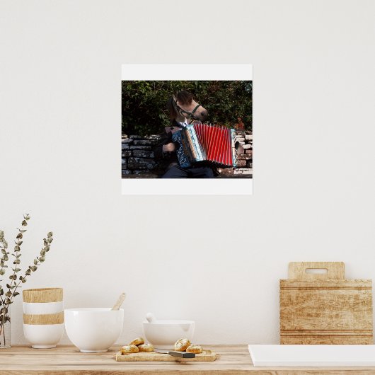 Het poster van de accordeonspeler (Keuken)