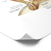 Het Poster van de anatomie van het spierstelsel 18 (Hoek)