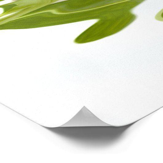 Het Poster van de Bezinning van de Zen-Stone (Hoek)