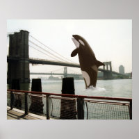 Het Poster van de Brooklyn Bridge springen