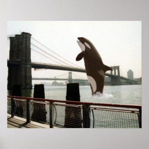 Het Poster van de Brooklyn Bridge springen
