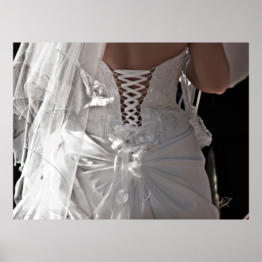 Het Poster van de Dress (Voorkant)