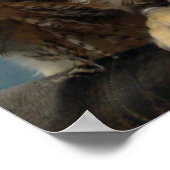 Het Poster van de grote hoornvliezen (Hoek)