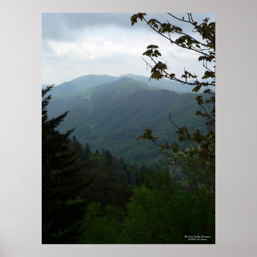 Het Poster van de Grote Smoky Mountains (Voorkant)