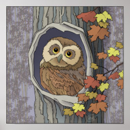 Het Poster van de Kleuren van de herfst Owl en van