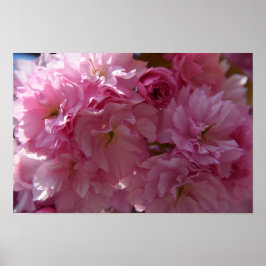 Het Poster van de lente