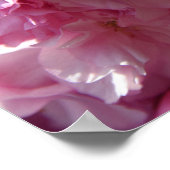 Het Poster van de lente (Hoek)