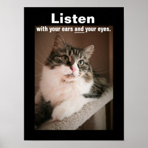 Het Poster van de Luistering