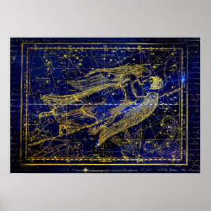 het poster van de maagdelijke constellatie