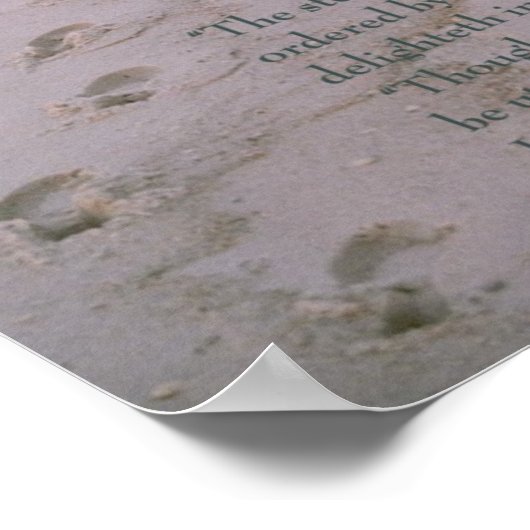 Het poster van de manuscripten — voetafdrukken op  (Hoek)