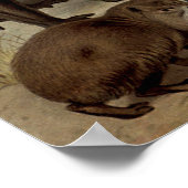 Het  Poster van de Oerwoud (Hoek)