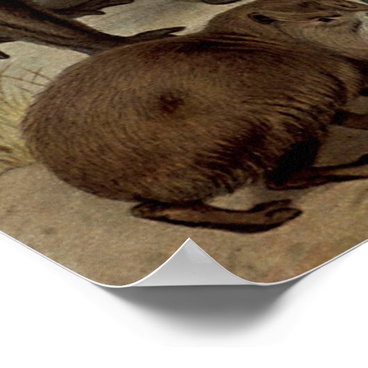 Het  Poster van de Oerwoud (Hoek)