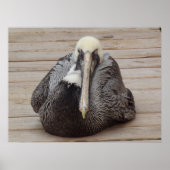 Het Poster van de Ornery Pelican (Voorkant)