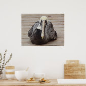 Het Poster van de Ornery Pelican (Keuken)