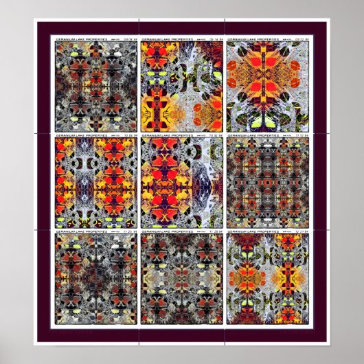 Het Poster van de papavertuin (Voorkant)