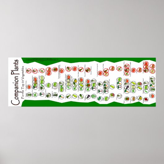 Het Poster van de Planten van de onderneming: De h (Voorkant)