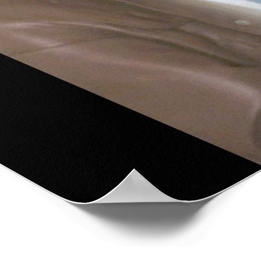 Het poster van de Portal webreeks (Hoek)