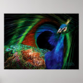 Het Poster van de Proud One Peacock Art (Voorkant)