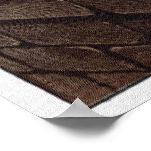 Het Poster van de rechter (Hoek)