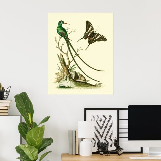 Het Poster van de Rode Mingbird (Thuiskantoor)