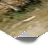 "Het Poster van de Schapherdess"~Border Collie (Hoek)