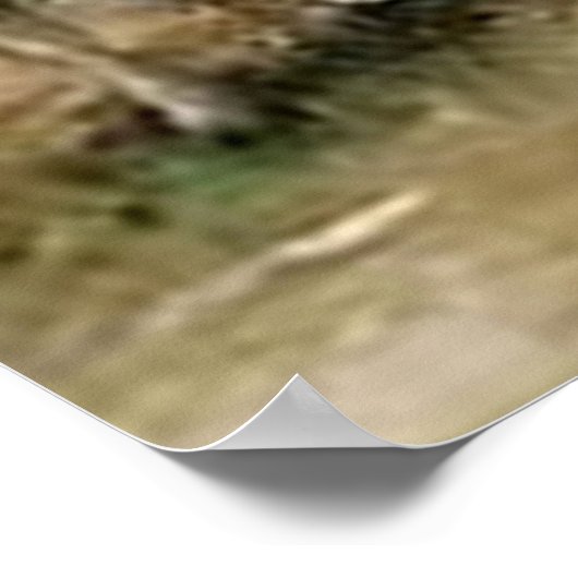 "Het Poster van de Schapherdess"~Border Collie (Hoek)