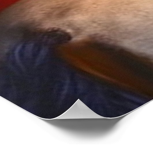 Het poster van de Spaanse Singer VANAF 14.95 uur (Hoek)