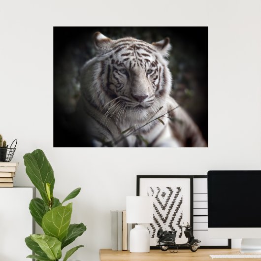 Het Poster van de Tiger dat in de gaten houdt (Thuiskantoor)