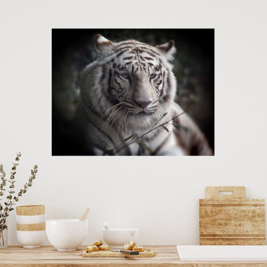 Het Poster van de Tiger dat in de gaten houdt (Keuken)