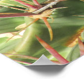 Het Poster van de Tongue Barrel Cactus van Devil b (Hoek)