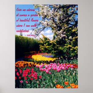 Het Poster van de Tuin van de Tulp van Walt