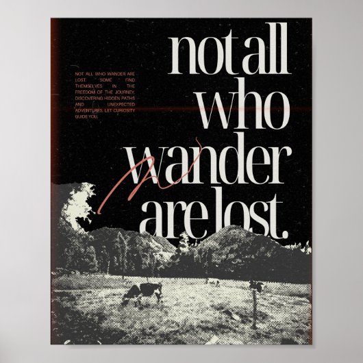 Het poster van de verloren zaak (Voorkant)