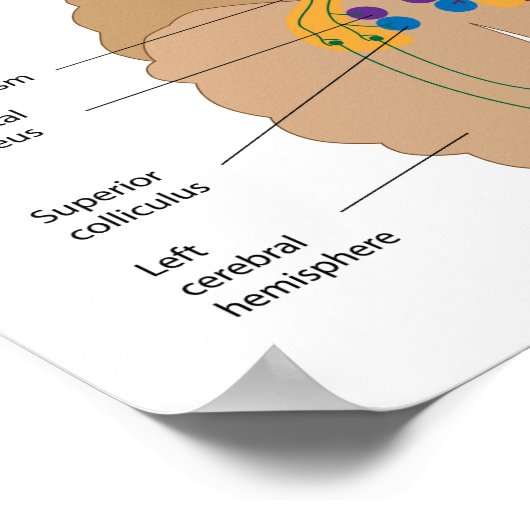 Het Poster van de visuele projectieroute (Hoek)